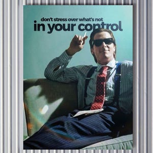 Könnte beinhalten: Gerahmtes Poster mit einem Mann mit Sonnenbrille, gestreiftem Hemd und roter Krawatte mit Muster. Der Text "don't stress over what's not in your control" ist in fetter Schrift dargestellt.