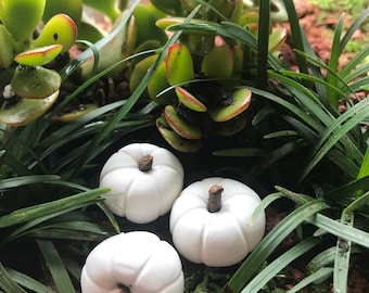 12 Fairy Garden white Pumpkins with willow tree stems, polymer clay, primitive pumpkins, white pumpkins 3/4-1 inch tall