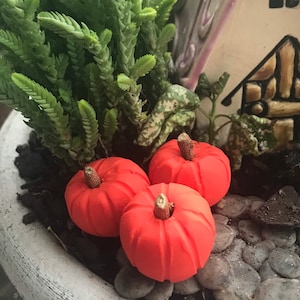 3 Polymer Clay Reddish Orange Fairy Garden pumpkins