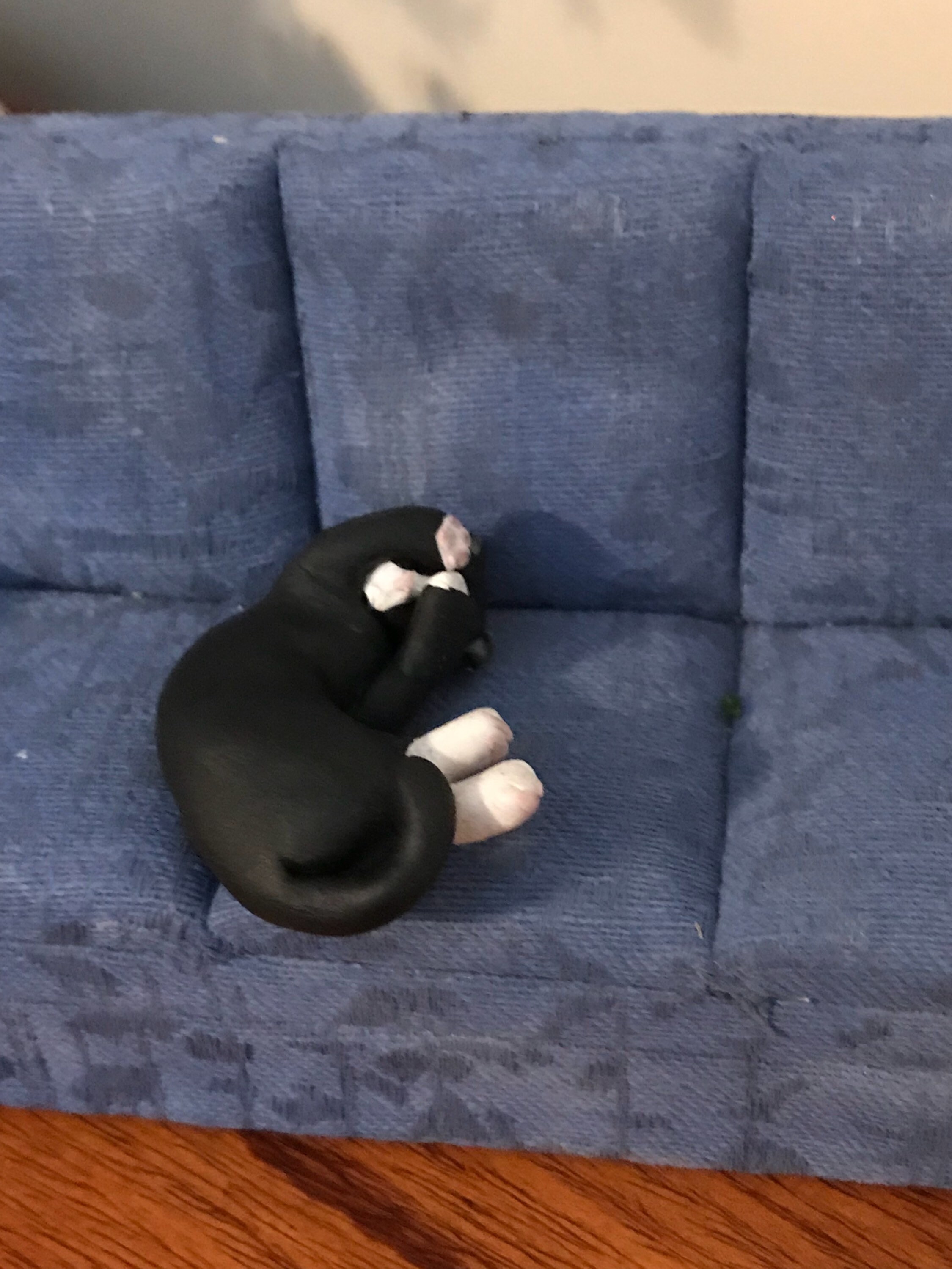Fairy Garden Sleeping Tuxedo Cat Polymer Clay Sculpture