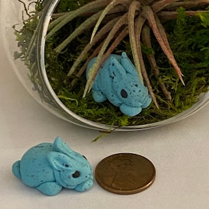 May include: Two small blue ceramic bunnies, one inside a glass terrarium with green moss and a green air plant, and the other next to a US penny.