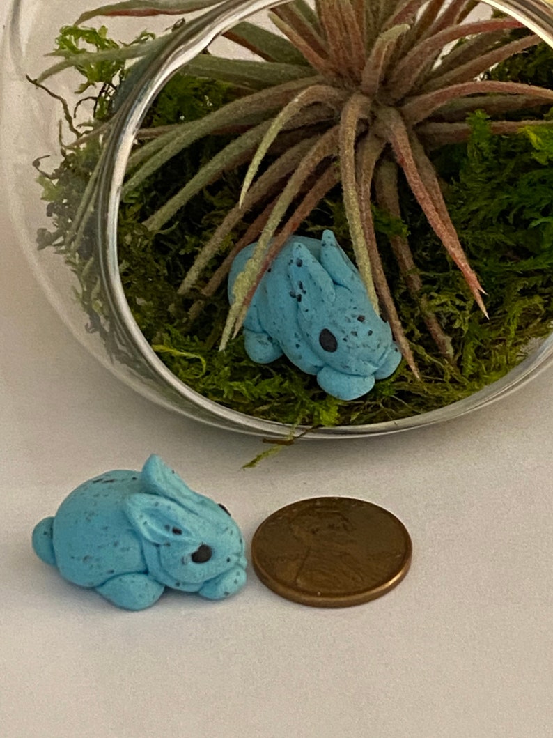 May include: Two small blue ceramic bunnies, one inside a glass terrarium with green moss and a green air plant, and the other next to a US penny.