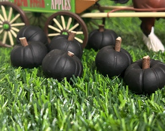 Small Handmade Ready to mail Miniature Fairy Garden Black Pumpkins