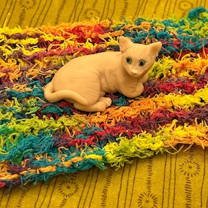 Sphynx cat Laying on her back , Hairless Cat