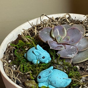 May include: Two small blue ceramic bunny figurines with black eyes are nestled in a white pot filled with moss and a succulent plant.