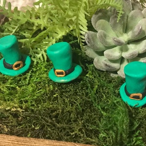 May include: Three miniature green top hats with black bands and gold buckles are sitting on a bed of green moss.