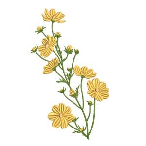 May include: An embroidery design featuring a vertical spray of yellow cosmos flowers with green stems and leaves. The illustration displays several open blossoms in various stages of bloom, along with small, closed flower buds on thin stalks.