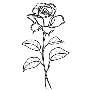 Puede incluir: Un dibujo lineal en blanco y negro de una rosa. La rosa está en plena floración con múltiples pétalos. El tallo tiene varias hojas. La imagen es una ilustración simple y elegante, perfecta para diversas aplicaciones.
