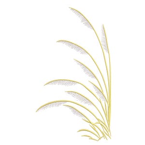 May include: A digital illustration of ornamental grass with long, curved stems and feathery seed heads. The stems are a pale yellow, and the seed heads are dotted with small, white specks. The artwork is set against a clean white background.
