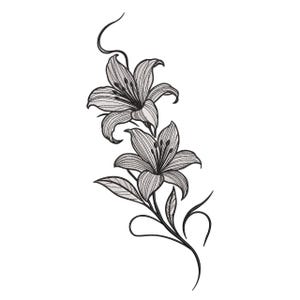 May include: A monochrome illustration of two lilies, showcasing intricate petal details and foliage. The design has a hand-drawn quality, with curved stems and a graceful, flowing appearance. The image is set against a plain white backdrop.