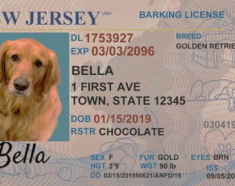 Tarjeta de billetera con foto personalizada para mascotas, tarjeta de licencia de conducir de PVC personalizada para perros y gatos