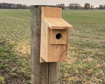 Slant Roofed Cedar Blue Bird House