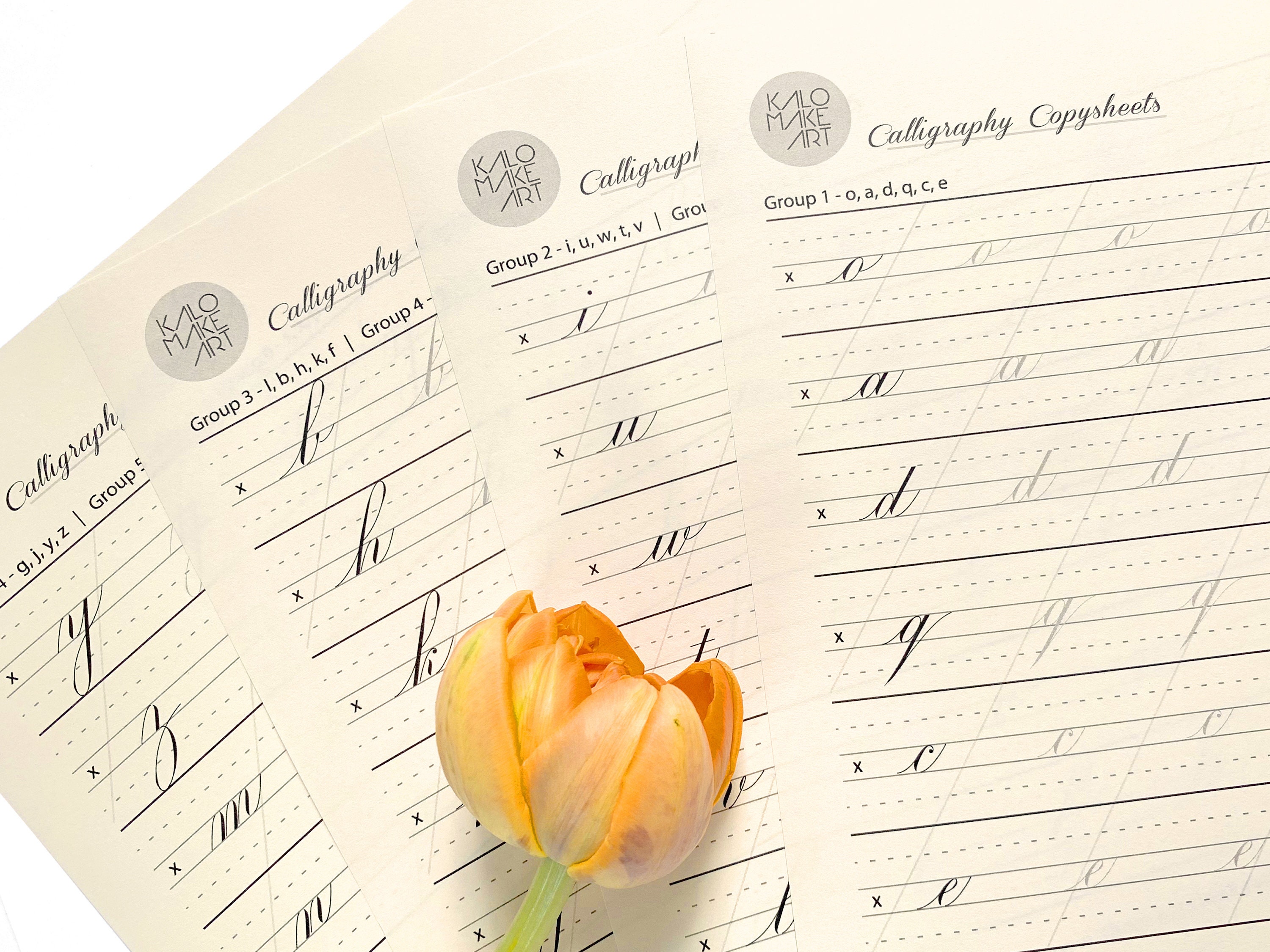 Lowercase Script Classic CLASSIC LOWERCASE Printable DIGITAL Calligraphy Copysheets | Pointed ...