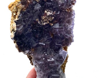 Op de afbeelding: Een ruw, natuurlijk fluoriet exemplaar. Het mineraal heeft een dieppaarse tint met kristallijne structuren. Het fluoriet is gedeeltelijk ingekapseld in een bruinachtige matrix. Het exemplaar wordt door een hand tegen een witte achtergrond gehouden.