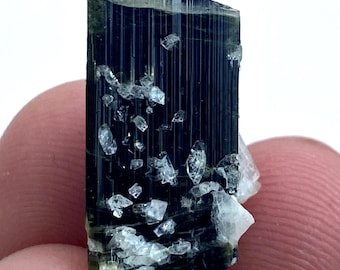 May include: A dark green tourmaline crystal with a vertical, striated pattern. The crystal has a rectangular shape with a cut top and is accented with small, clear quartz crystals. The mineral is held by a person's fingers.