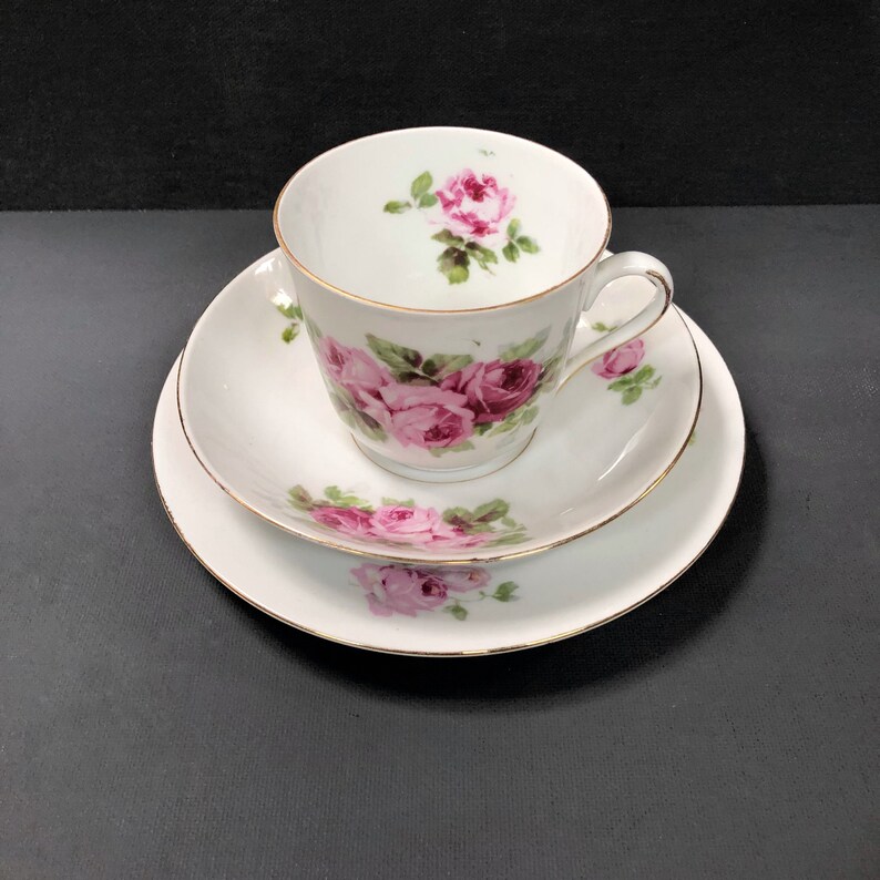 Fine Bone China Trio Victoria China Czechoslovakia Etsy
