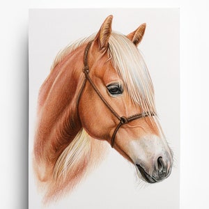 Portrait de cheval DESSIN au crayon de couleur cheval peint cheval dessin de cheval coloré dessin commandé dessiné à la main image 1