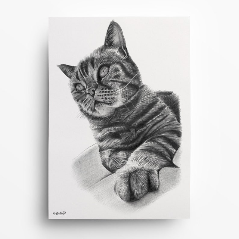  Katze zeichnen BLEISTIFT ZEICHNUNG Katze malen lassen - Etsy.de Illustration 