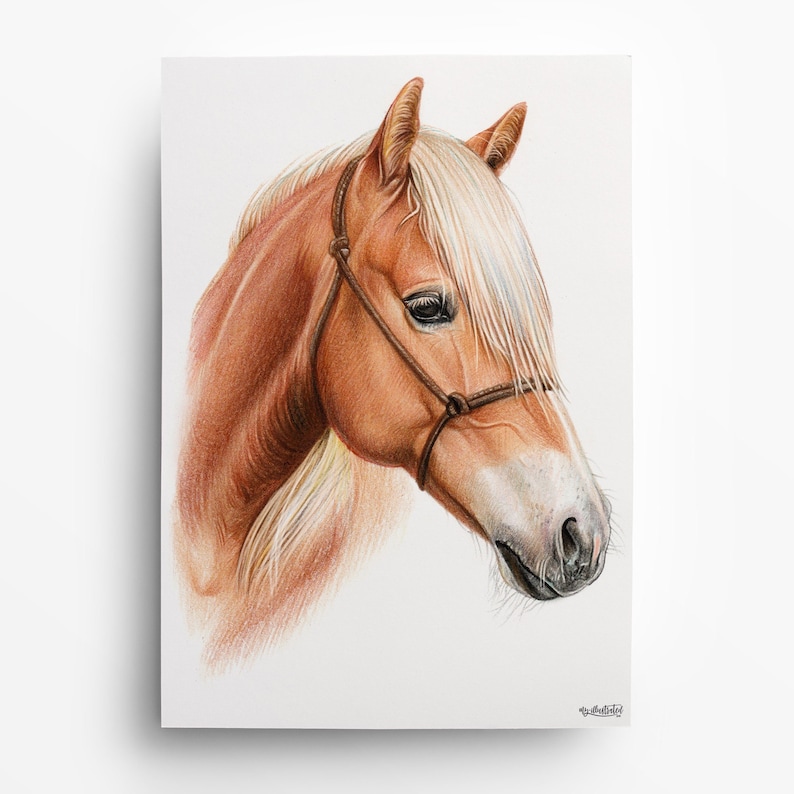 Portrait de cheval DESSIN au crayon de couleur cheval peint cheval dessin de cheval coloré dessin commandé dessiné à la main image 1