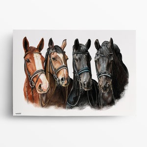 Portrait de cheval DESSIN au crayon de couleur cheval peint cheval dessin de cheval coloré dessin commandé dessiné à la main image 3