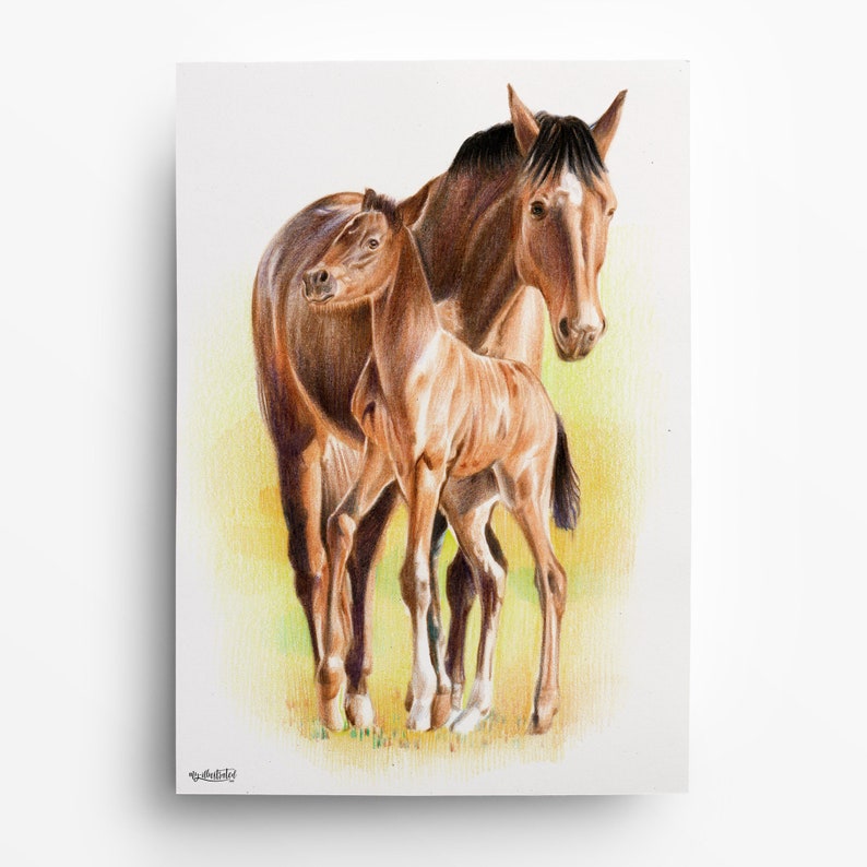 Portrait de cheval DESSIN au crayon de couleur cheval peint cheval dessin de cheval coloré dessin commandé dessiné à la main image 8