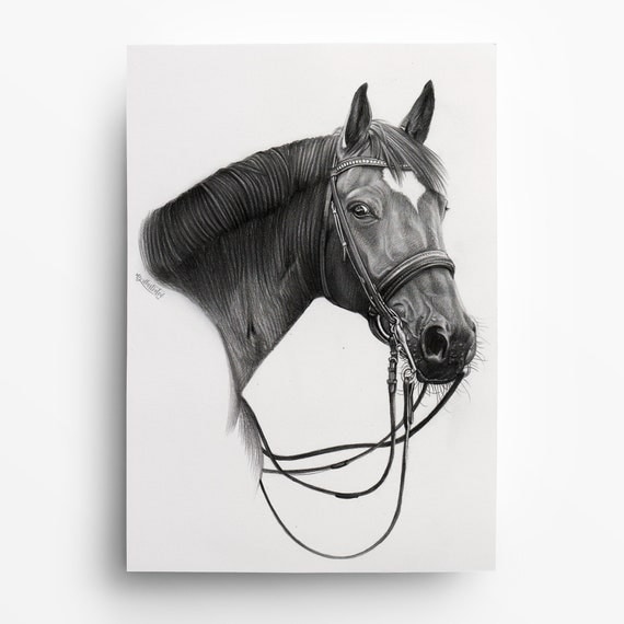 Retrato de caballo LÁPIZ DIBUJO Dibujo a lápiz Blanco y - Etsy España