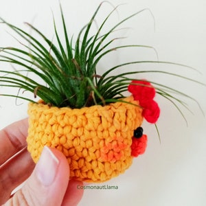 Crochet planter, Amigurumi animal Plant pot, Easter Chicken Plant holder, airplant gifts, planter for kids, crochet patterns for plant cover image 5