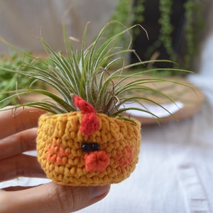 May include: A yellow crocheted planter shaped like a chick with a red comb and beak, holding a small air plant.