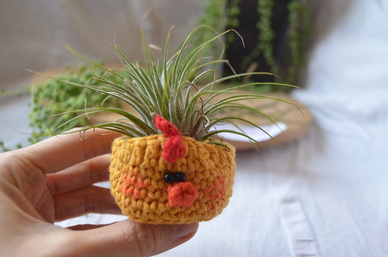Crochet planter, Amigurumi animal Plant pot, Easter Chicken Plant holder, airplant gifts, planter for kids, crochet patterns for plant cover image 2