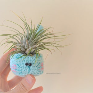 Cat Plant holder Crochet Pattern, Animal Planter, Air planter, Airplant holder, Plant Pot, crocheted flower pot, cozy, air plant gifts, diy