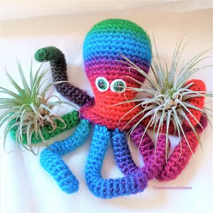 May include: A crocheted octopus planter in rainbow colors with green eyes. Two air plants are planted in the octopus's head and tentacles.