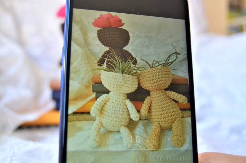 Planter Crochet Pattern, Air planter, Air plant holder, Plant Pot, home decor amigurumi, succulent, decoration, crocheted flower pot, cozy image 8