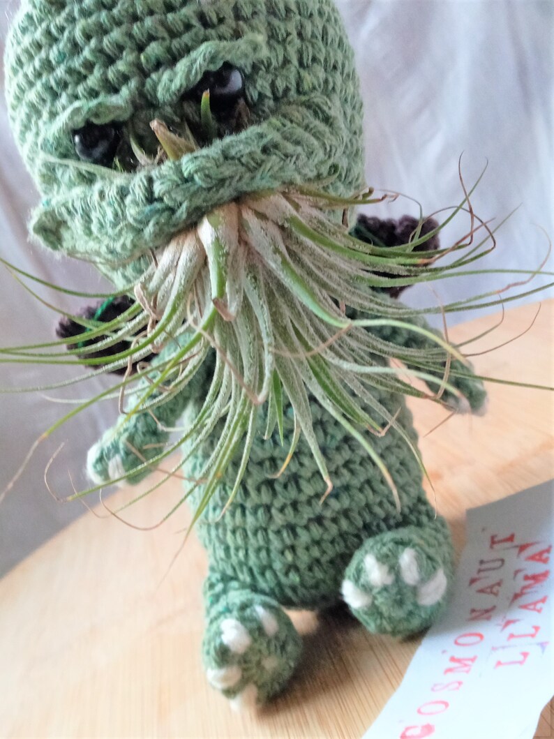 Cthulhu Crochet Plant Pot Pattern, Mini Amigurumi Cthulhu, diy air plant holder, desk decoration, Airplant Pot, tillandsia holder, image 8