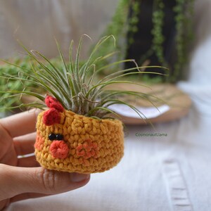 Chick Planter Crochet Pattern, Amigurumi animal Plant pot, Easter Chicken Plant holder, For Unique gifts lovers, airplant holder, airplanter image 9