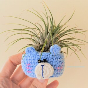 May include: A blue crocheted bear planter with a white face and pink accents holds a green air plant.
