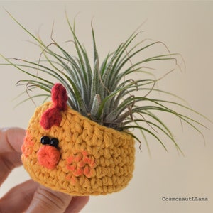 Puede incluir: Un macetero de pollito amarillo tejido a crochet con cresta roja y ojos negros. Una planta de aire verde está creciendo dentro del macetero.