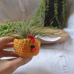 Chick Planter Crochet Pattern, Amigurumi animal Plant pot, Easter Chicken Plant holder, For Unique gifts lovers, airplant holder, airplanter image 8