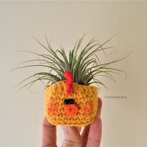 Chick Planter Crochet Pattern, Amigurumi animal Plant pot, Easter Chicken Plant holder, For Unique gifts lovers, airplant holder, airplanter image 3