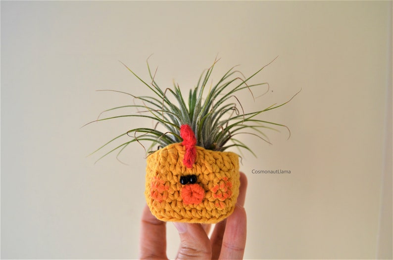 Chick Planter Crochet Pattern, Amigurumi animal Plant pot, Easter Chicken Plant holder, For Unique gifts lovers, airplant holder, airplanter image 3