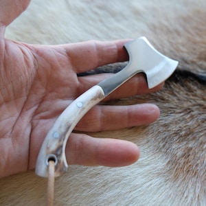 May include: A small, white-handled axe with a silver blade. The axe is held in a hand, and the blade is sharp.