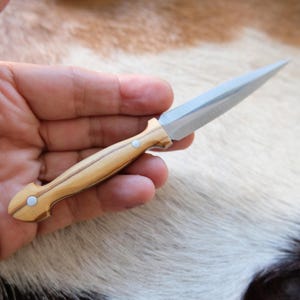 Small Dagger Knife Olive Wood Handle