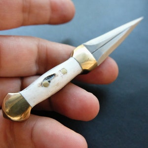 May include: A small, decorative dagger with a white handle and a silver blade. The handle has brass accents at both ends and a small, dark spot. The dagger is held in a hand.