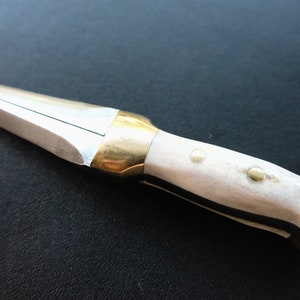 May include: A handcrafted dagger with a polished steel blade and a handle made of bone and brass. The handle has a white and black pattern with brass accents. The blade is sharp and pointed.