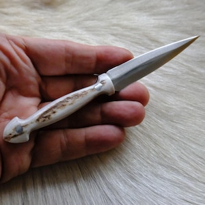 May include: A small, silver knife with a white antler handle. The knife is sharp and pointed, and the handle is smooth and polished.