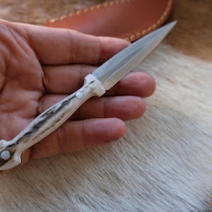 Daga de bolsillo con mango de asta de ciervo y funda de cuero, mini daga coleccionable. STAG ANTLER