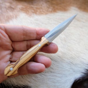Small Dagger Knife Olive Wood Handle