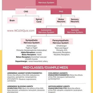 Può includere: Diagramma medico intitolato "NERVOUS SYSTEM PHARMACOLOGY" in rosa e bianco. Dettaglia il sistema nervoso, inclusi SNC, SNP e informazioni su recettori e farmaci. Il sito web www.NCLEXQuiz.com è visibile.