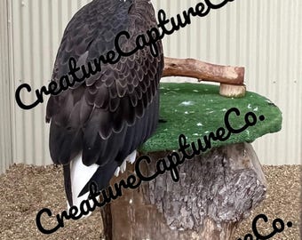 Bald Eagle Portrait | Majestic Birds of Prey Art | American Eagle Digital Print | Wildlife Photography