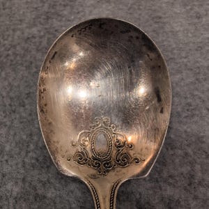 1890-1910's Community Silver Serving Spoon Ornate Filigree Decorative Handle image 2