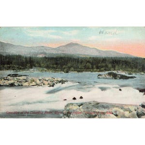 Cartolina vintage del 1911 raffigurante il Ponte degli Dei sul fiume Columbia e le Cascate, Oregon, in ottime condizioni. immagine 1